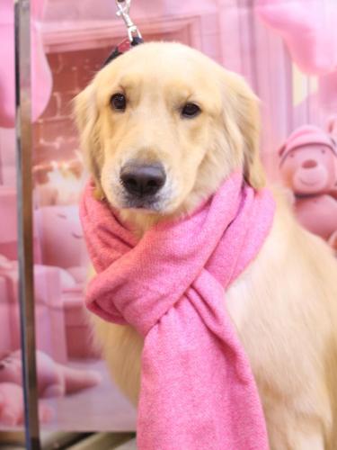 20241218ありすちゃん